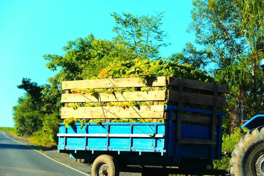 Common Mistakes To Avoid When Choosing Movers in Pendergrass, GA